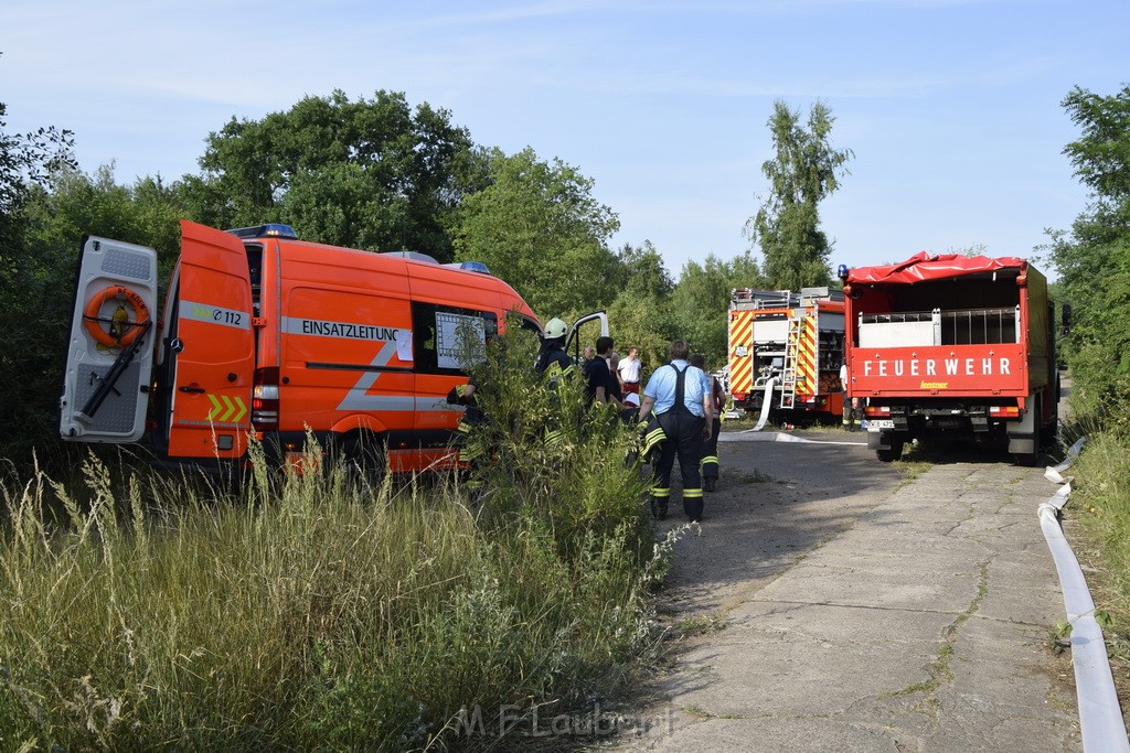 Waldbrand Koeln Hoehenhaus Hoehenfelder Mauspfad P035.JPG - Miklos Laubert